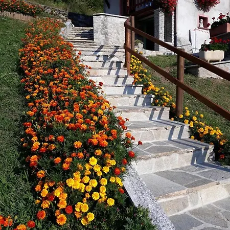 Casa All'alpe Gaggetto Apartamento *