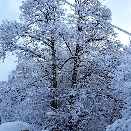 Casa All'alpe Gaggetto *