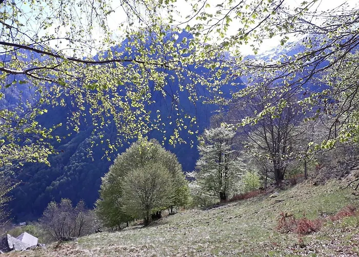 Casa All'alpe Gaggetto Lejlighed *