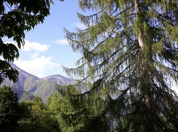 Casa All'alpe Gaggetto Apartament