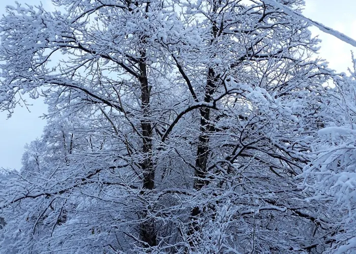 Casa All'alpe Gaggetto *